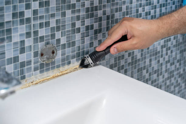 Best Health and Safety Mold Remediation in Chamberlain, SD