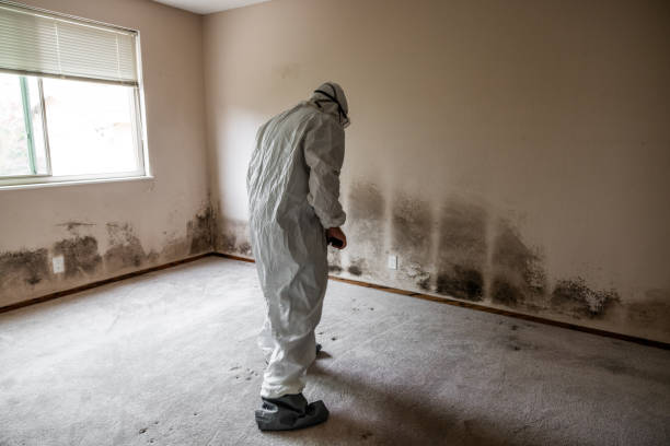 Best Post-Remediation Services in Chamberlain, SD